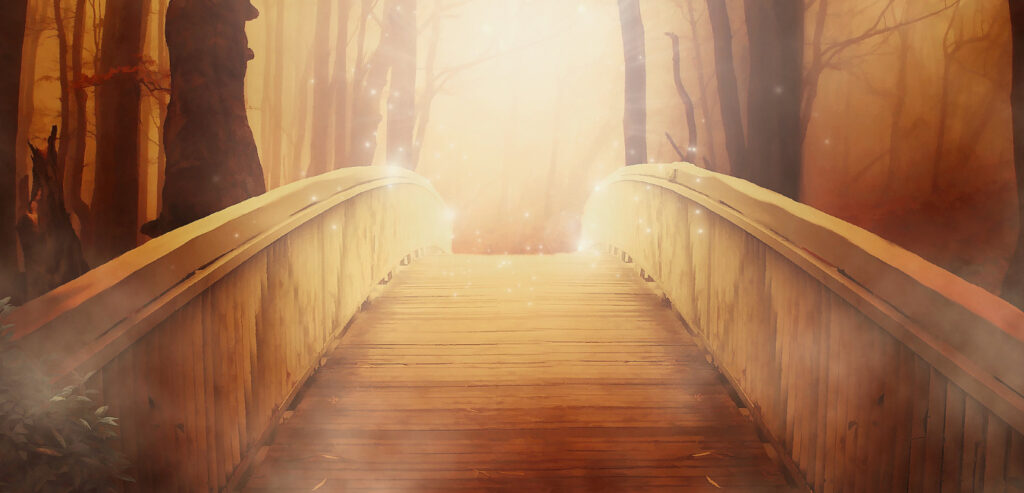 光の懸け橋イメージ画